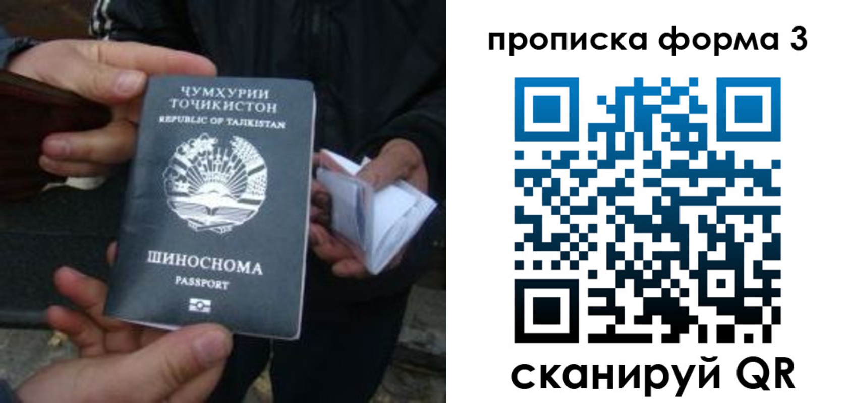 прописка 2025 в Оленегорске